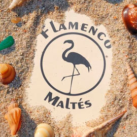 Ba%c3%91ador flamenco maltes 2