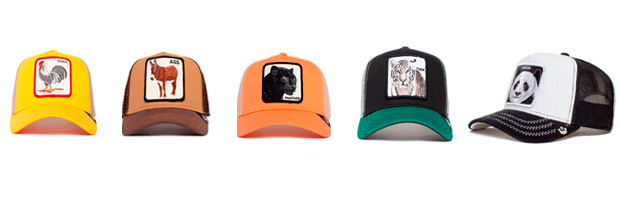 Gorras de animales