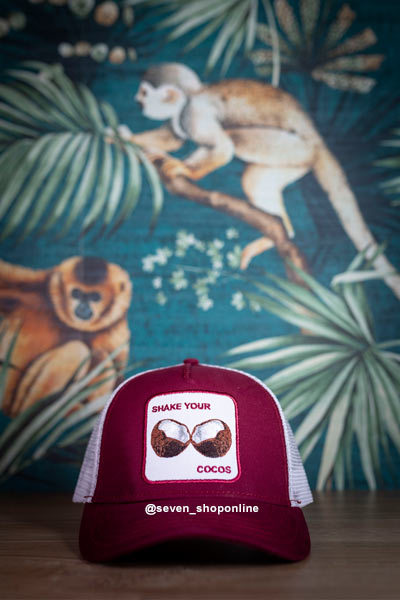 gorra de los cocos cocowi