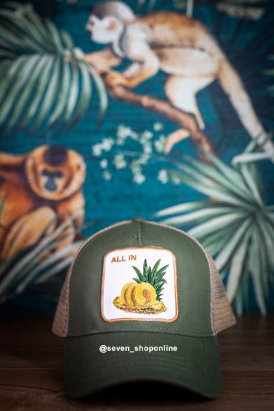 gorra de la piña