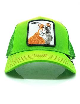 Gorra Goorin Bros bulldog verde flúor