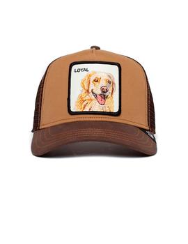 Gorra Goorin Bros Golden Retriever marrón