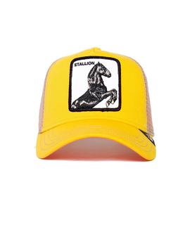 Gorra Goorin Bros caballo amarillo