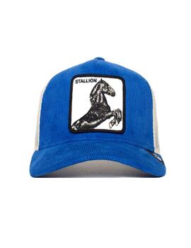 Gorra Goorin Bros pana azul caballo negro