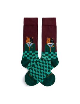 Calcetines Jimmy Lion Gentle Cat Aubergine