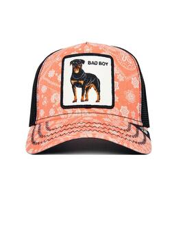 Gorra Goorin Bros rottweiler salmón