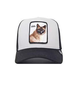 Gorra Goorin Bros V2 Cool Cat gris