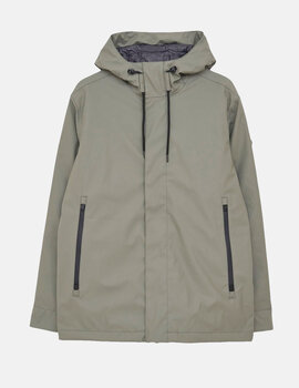 T3170 PLAS Mulled Basil