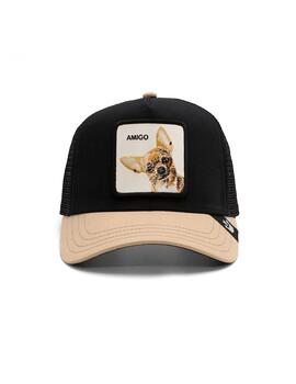 Gorra Goorin Bros chihuahua