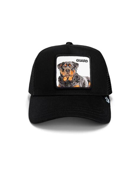Gallery a06834 trexbhow