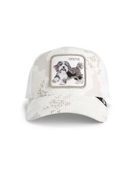 Gorra Goorin Bestie Camo de pana