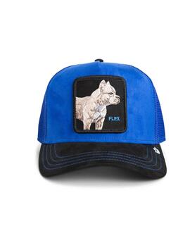 Gorra Goorin Bros Pitbull azul