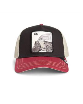 Gorra Goorin Bros tortuga negra