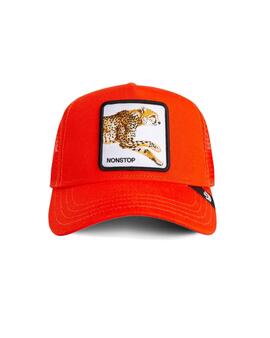 Gorra Goorin Bros guepardo mini