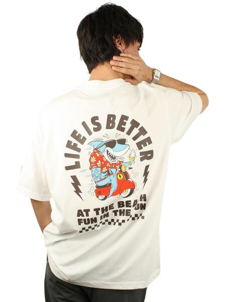 Gallery a06260 dszlpwph