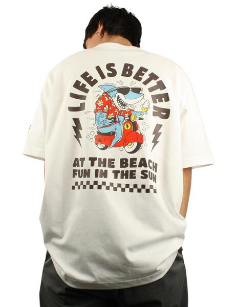 Gallery a06260 f7wnfy9n