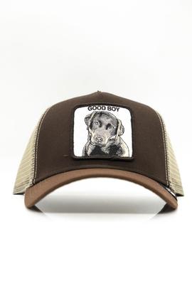 Gorra Goorin Bros perro labrador marrón