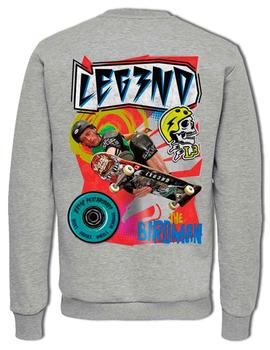 Sudadera Legend Tony Hawk gris