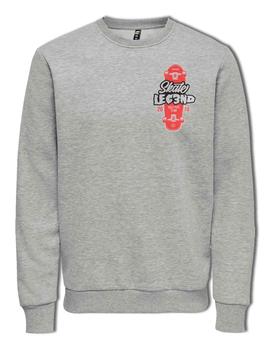 Sudadera Legend Tony Hawk gris